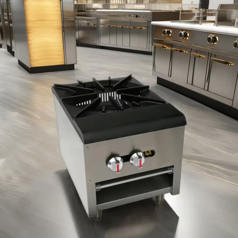 Commercial Stainless Steel Gas - Commercial Kitchen Boiler review and price