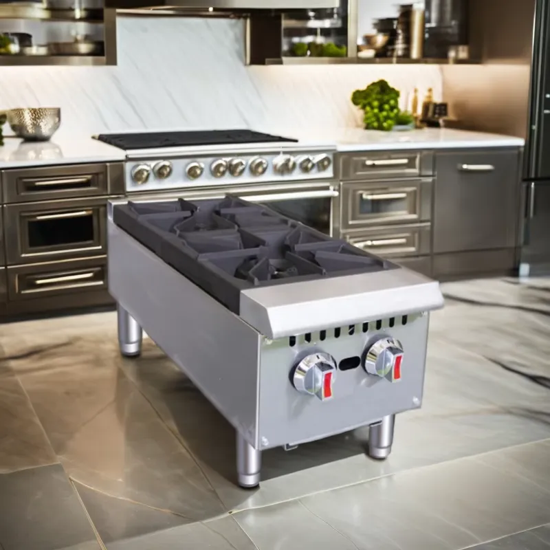 Commercial Stainless Steel Gas - Commercial Kitchen Boiler review and price